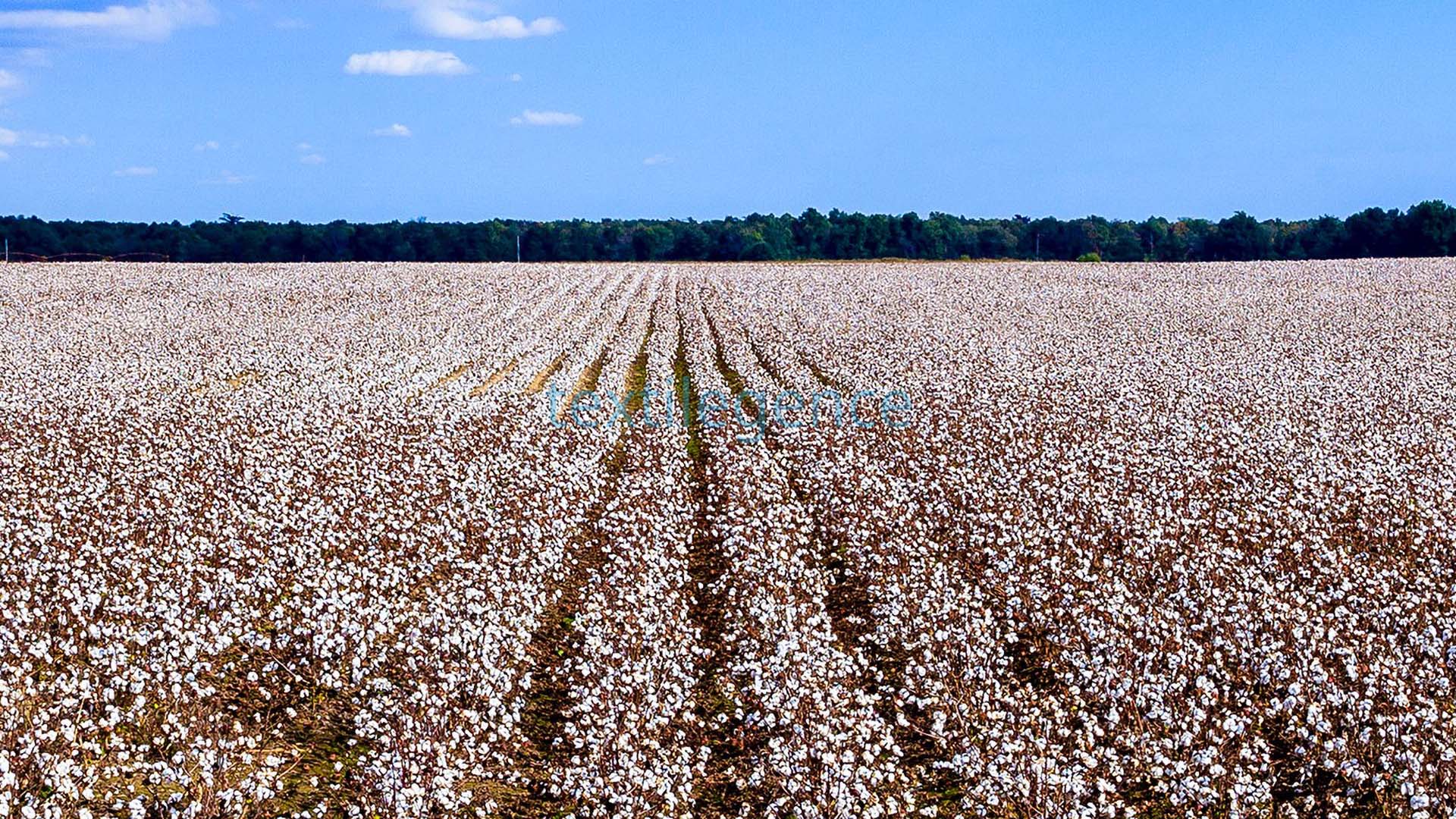 Amerikietiška medvilnė suteikia pridėtinės vertės Turkijos tekstilės pramonei